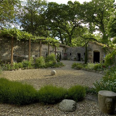 הוילה Casa Di Pietro In Vivo D'Orcia, Pool מראה חיצוני תמונה